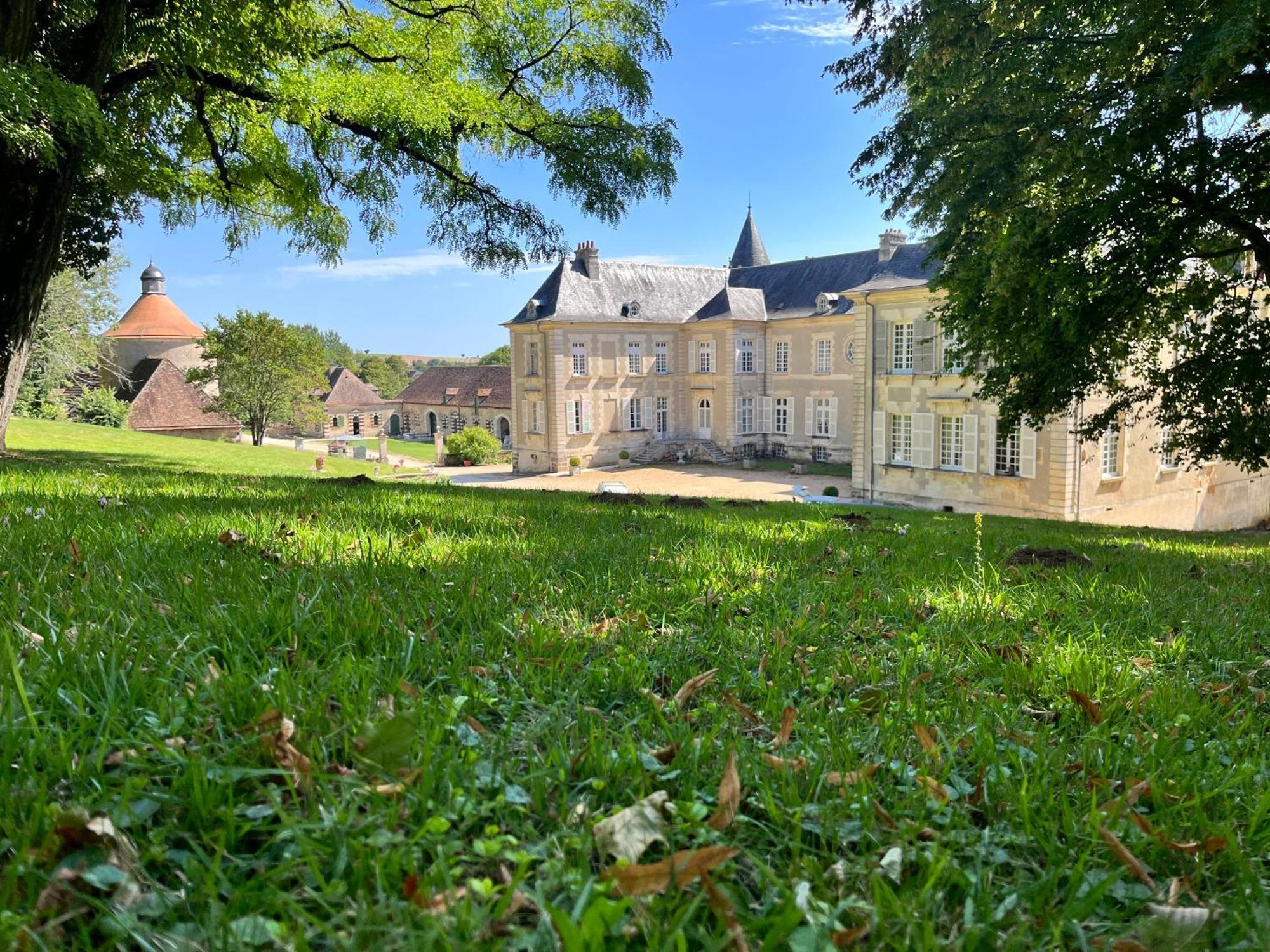 Chateau De Beaujeu Sens-Beaujeu Dış mekan fotoğraf