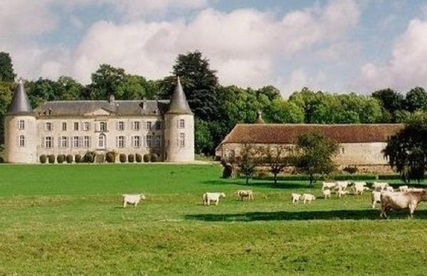 Chateau De Beaujeu Sens-Beaujeu Dış mekan fotoğraf