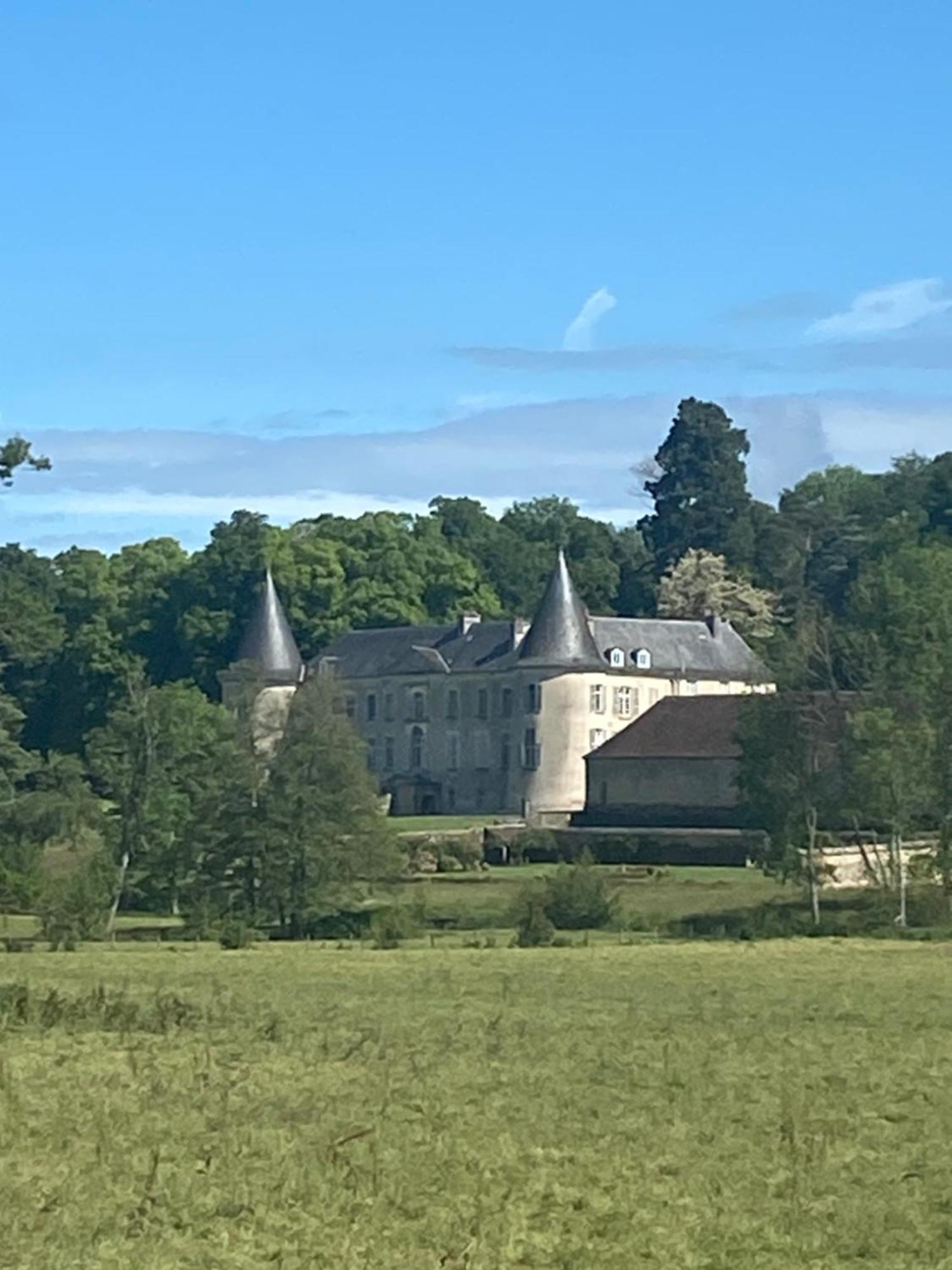 Chateau De Beaujeu Sens-Beaujeu Dış mekan fotoğraf